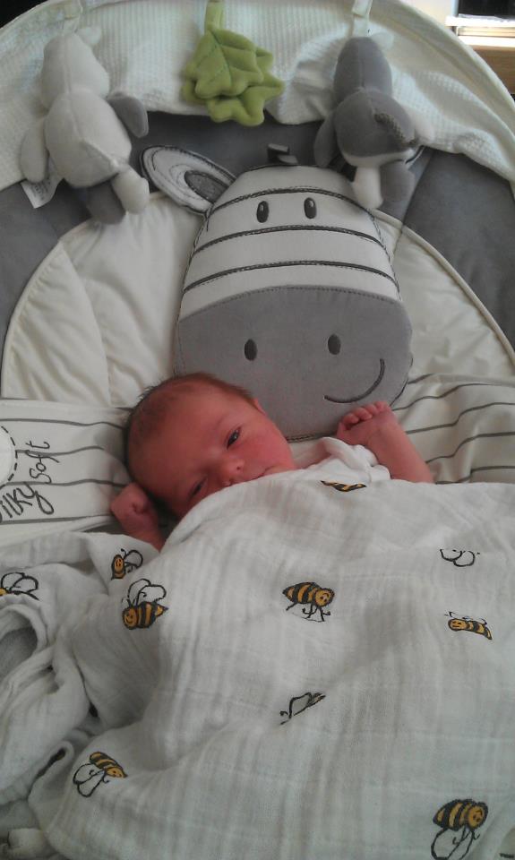 Aden & Anais Swaddle Love Cotswold Mum